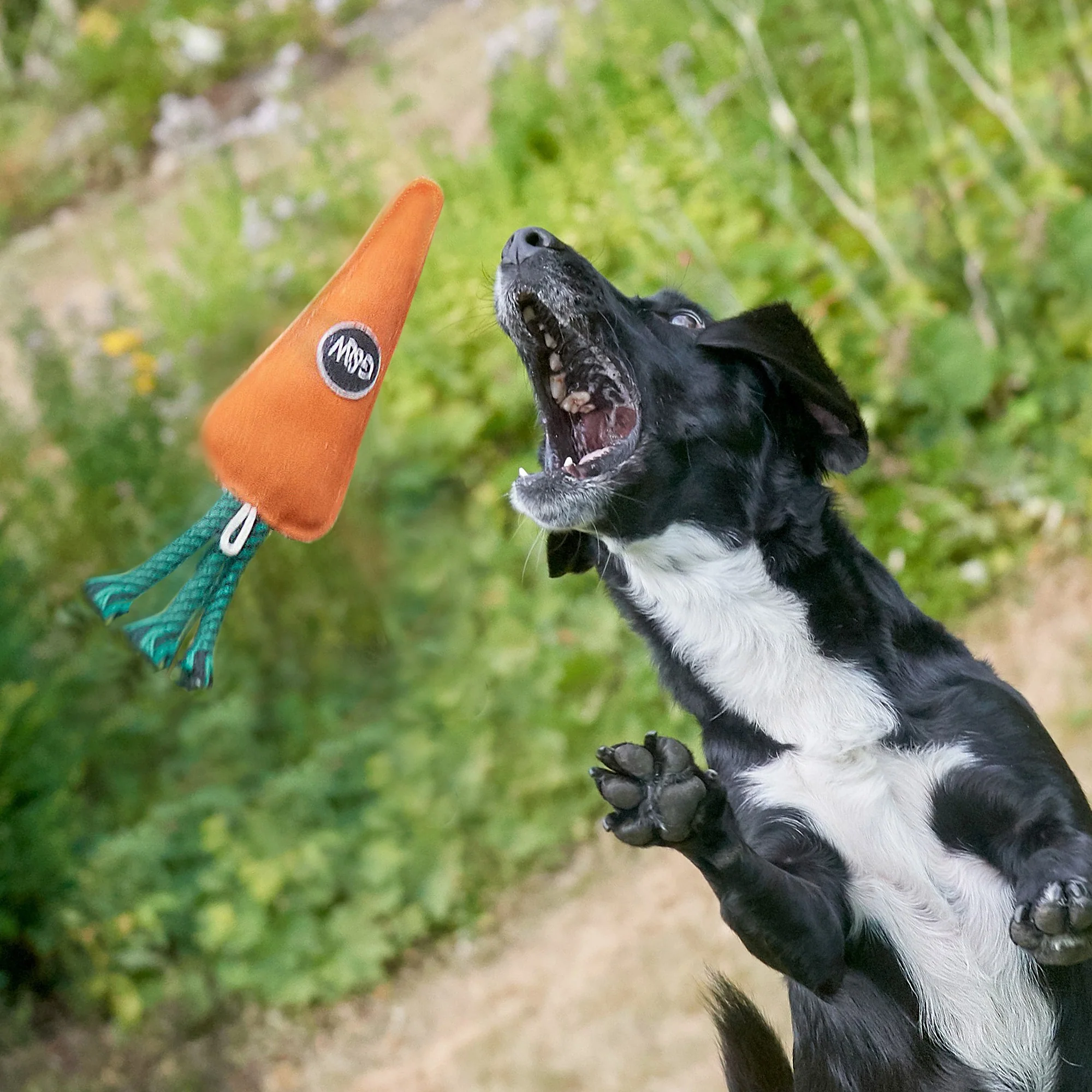 Candice the Carrot, Eco Dog toy - Image 5