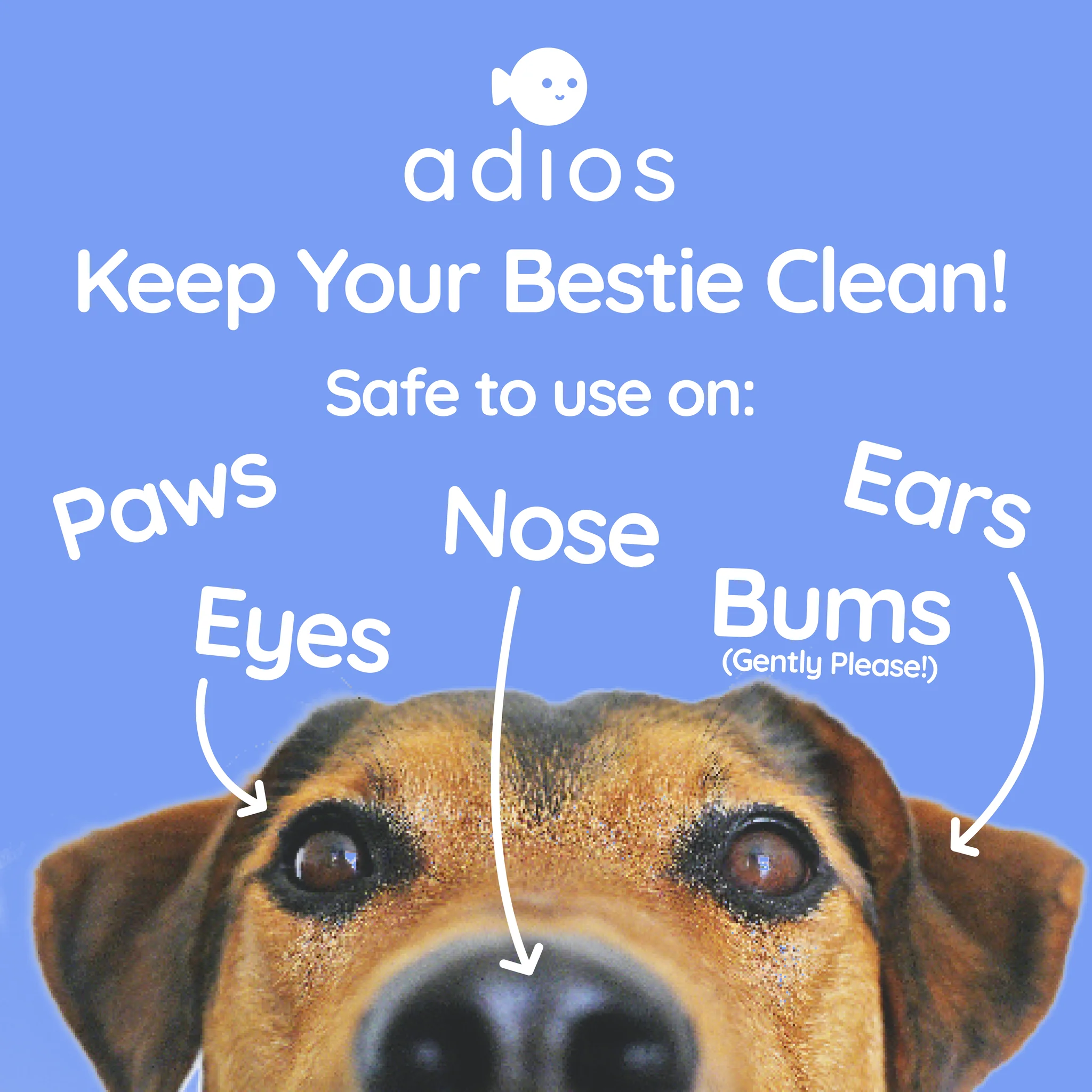 Compostable Pet Wipes 25pk - Image 3
