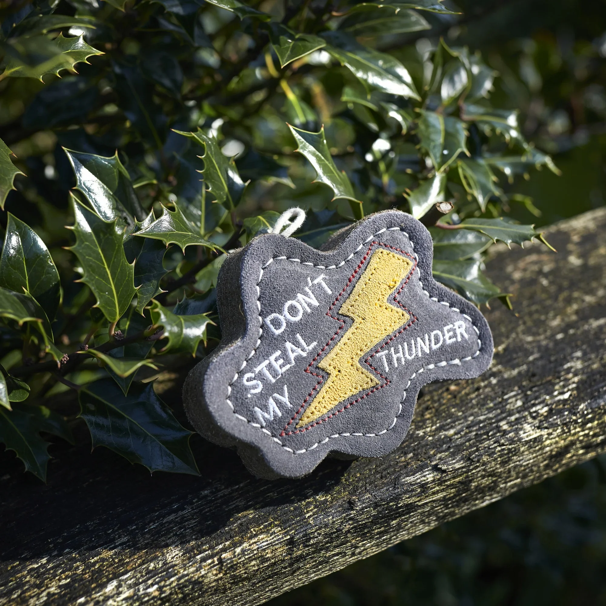 Don't Steal my Thunder, Eco Dog Toy - Image 6