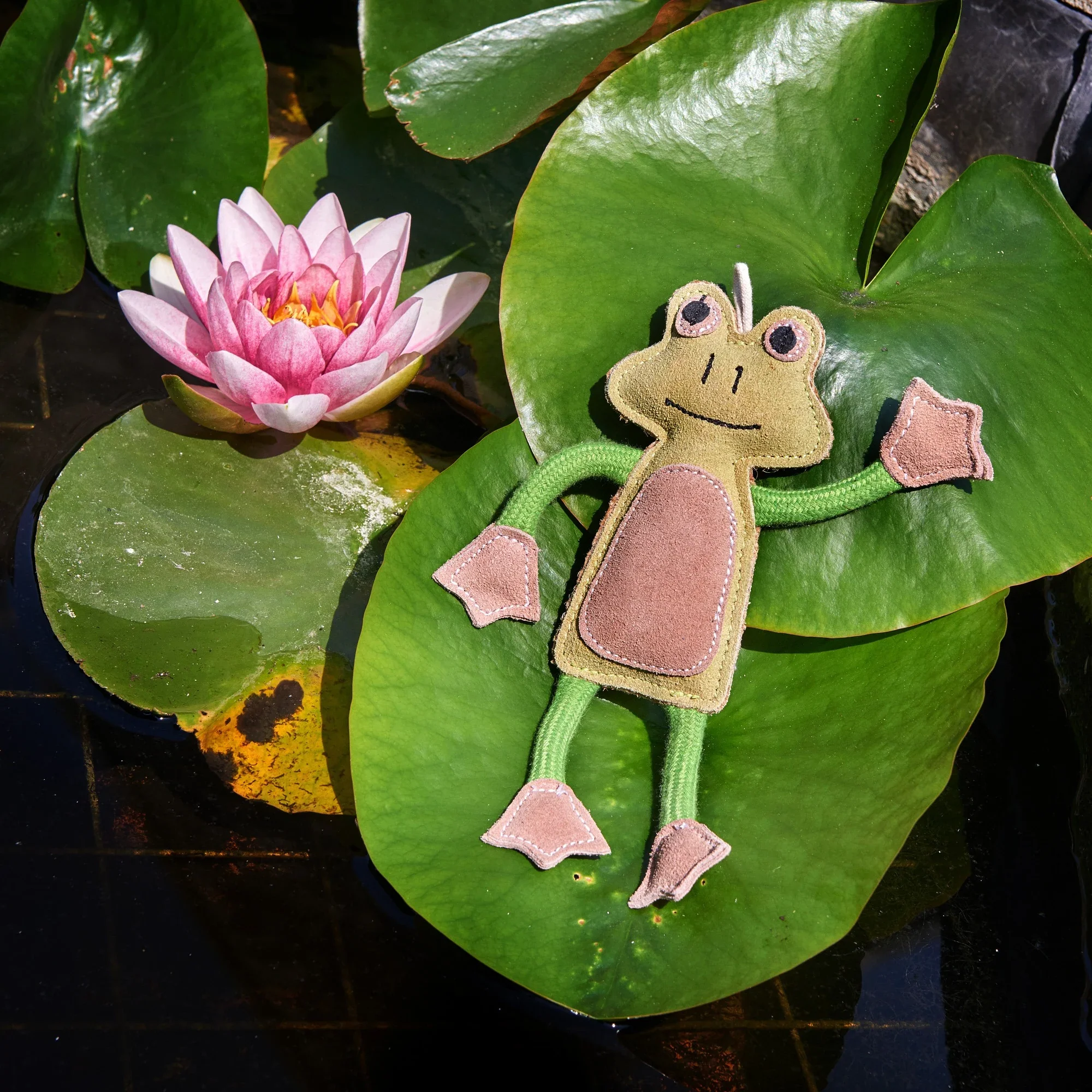 Francois Le Frog, Eco Dog Toy - Image 3