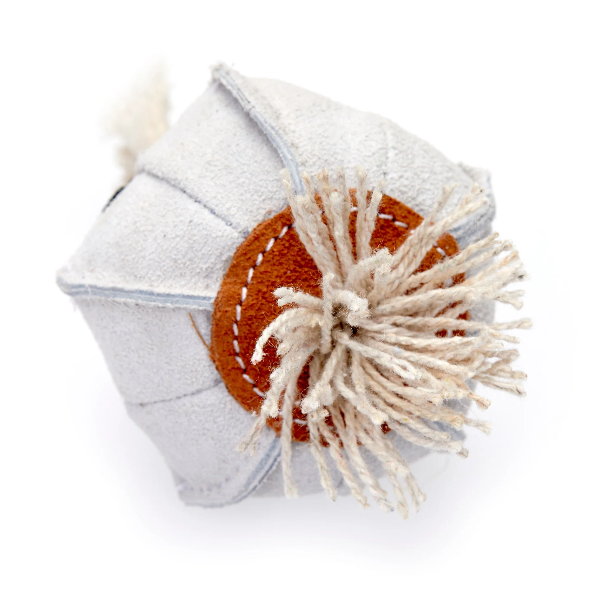 Gary the Garlic, Eco Dog Toy - Image 3