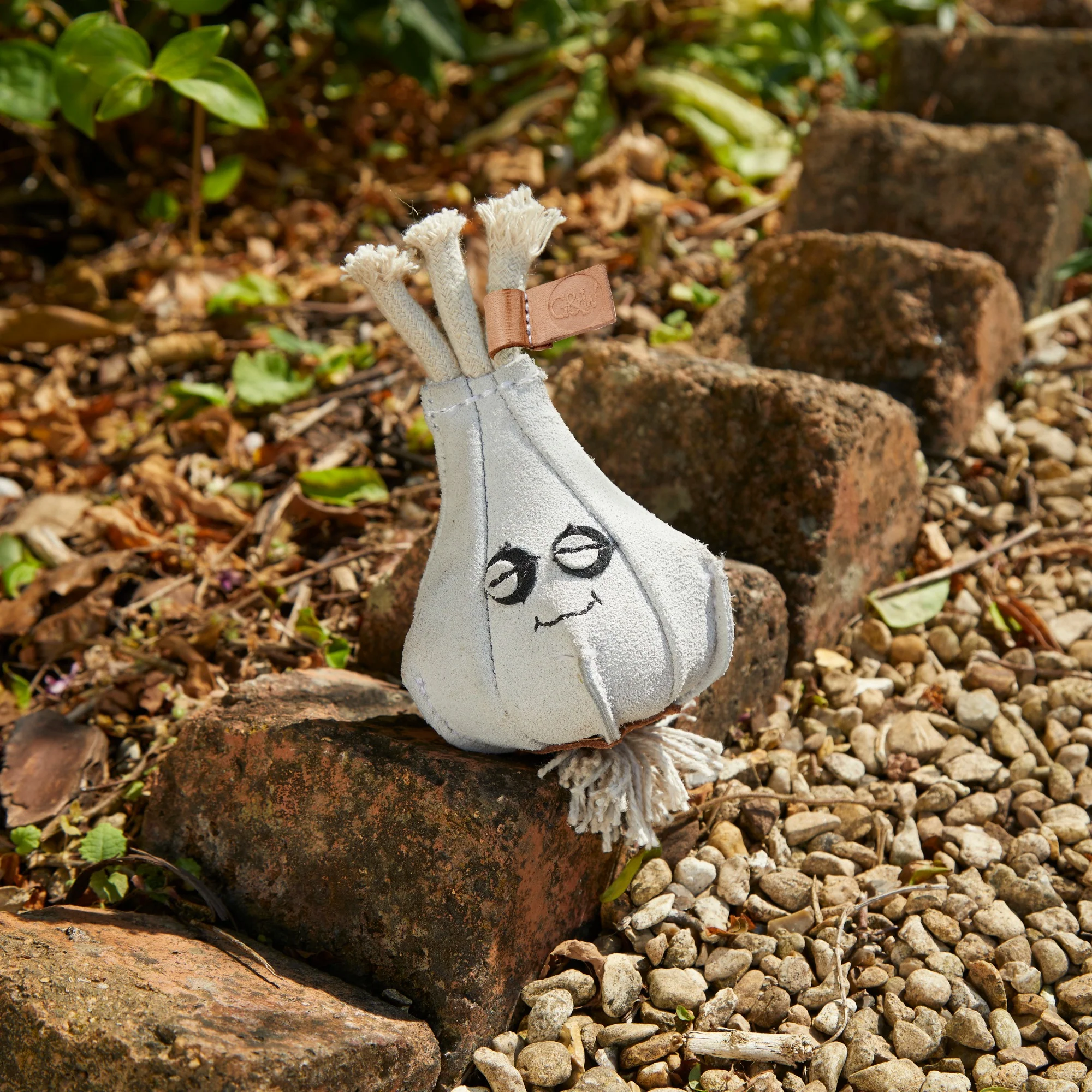 Gary the Garlic, Eco Dog Toy - Image 4