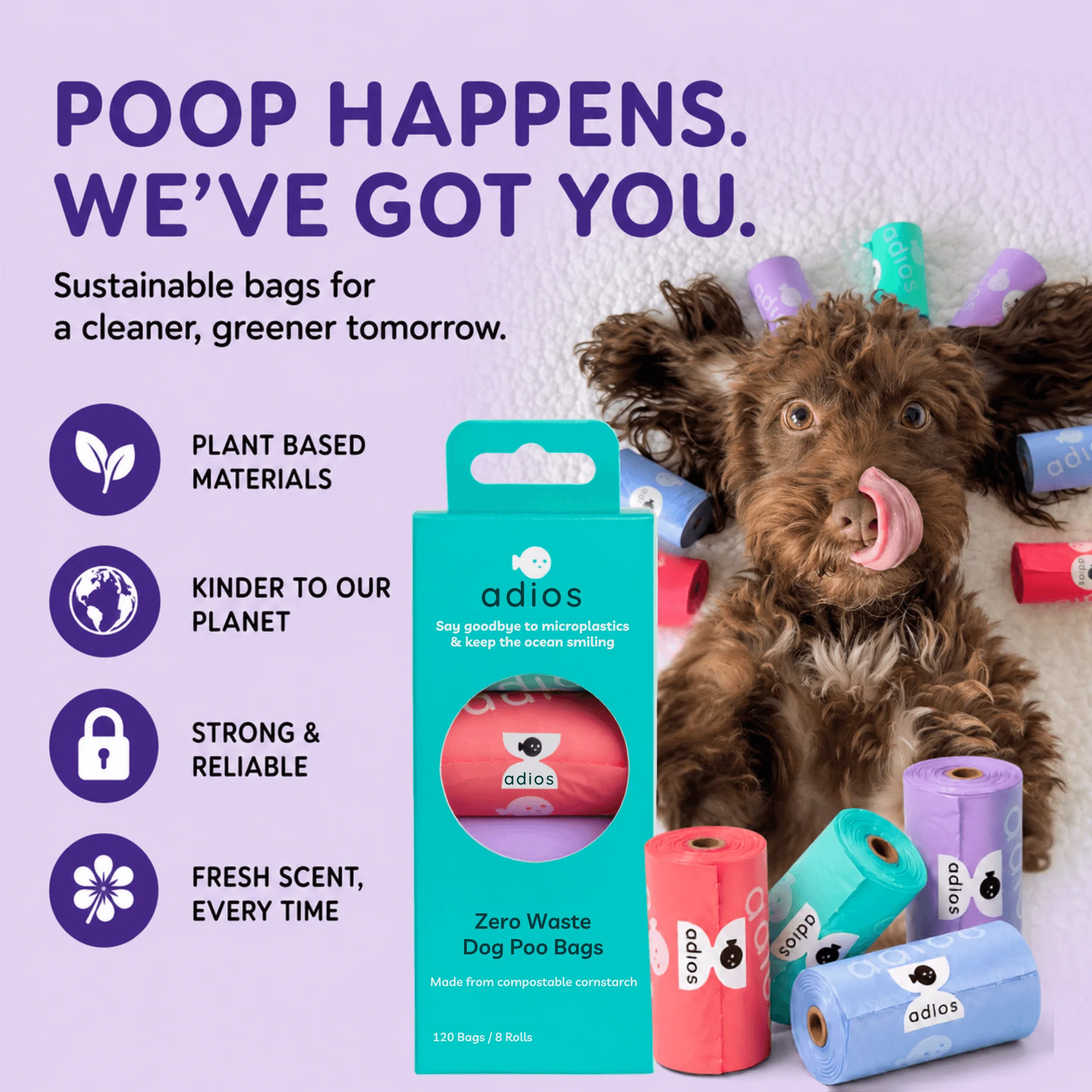 Compostable Poo Bags - Image 4