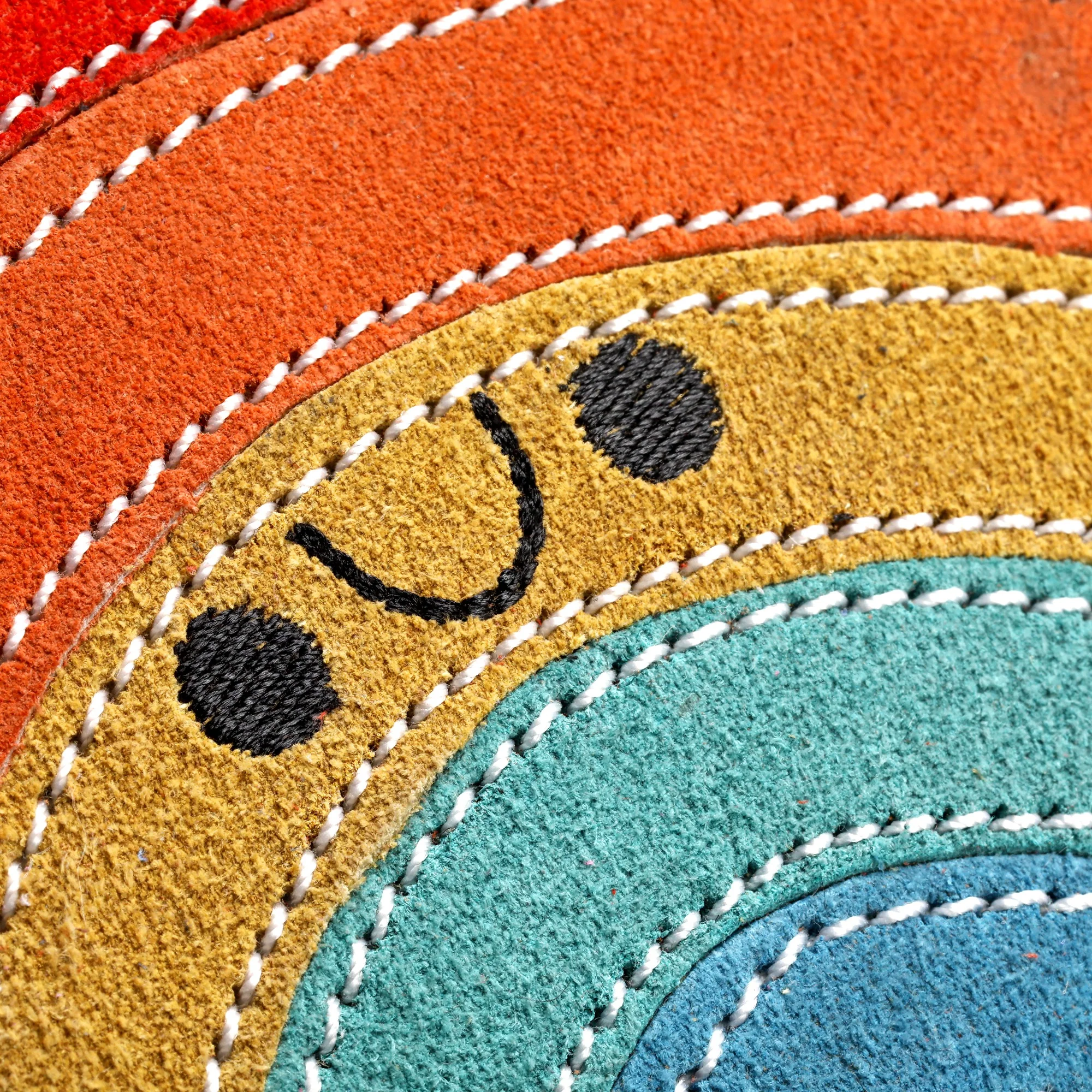 Rainbow Warrior, Eco Dog Toy - Image 2