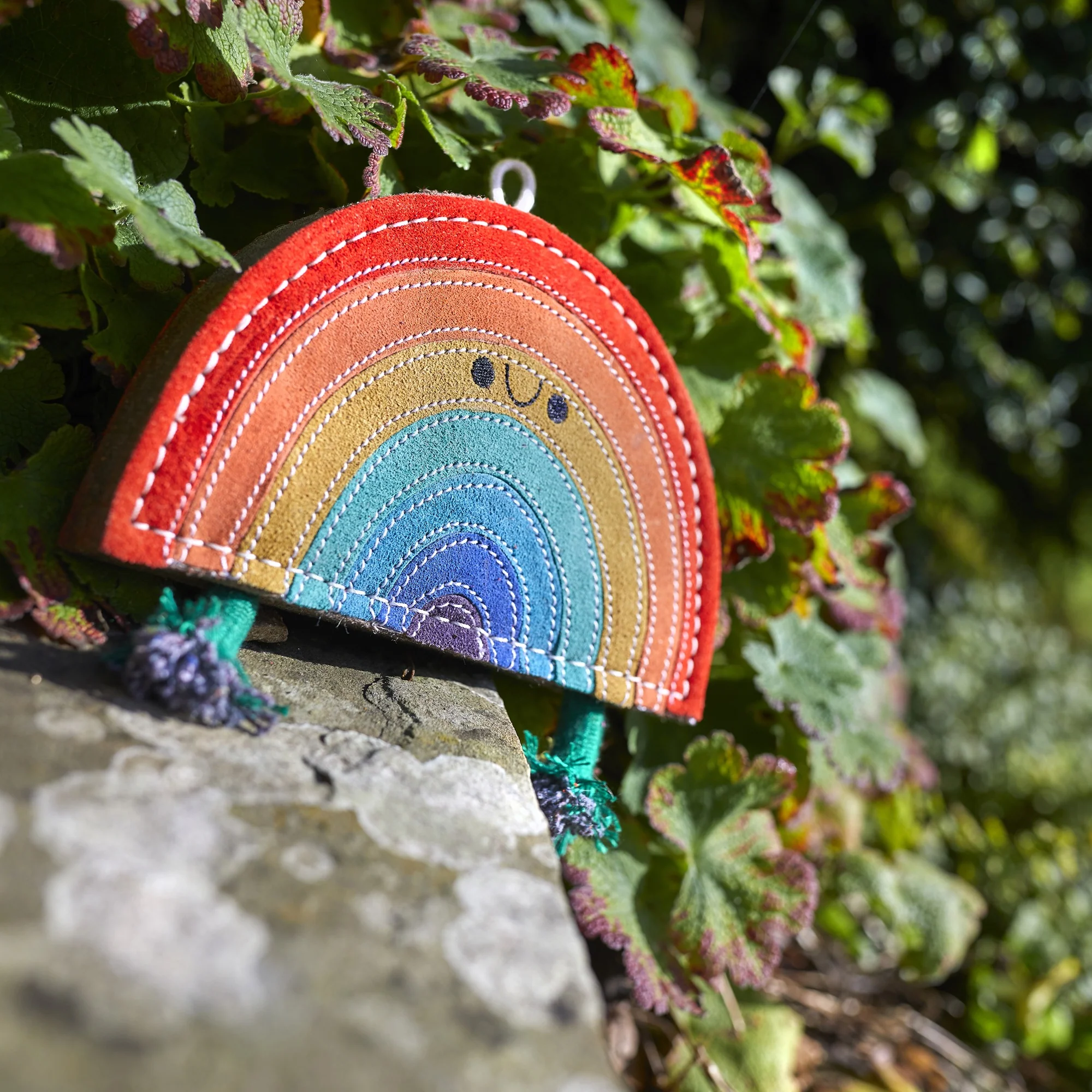 Rainbow Warrior, Eco Dog Toy - Image 7