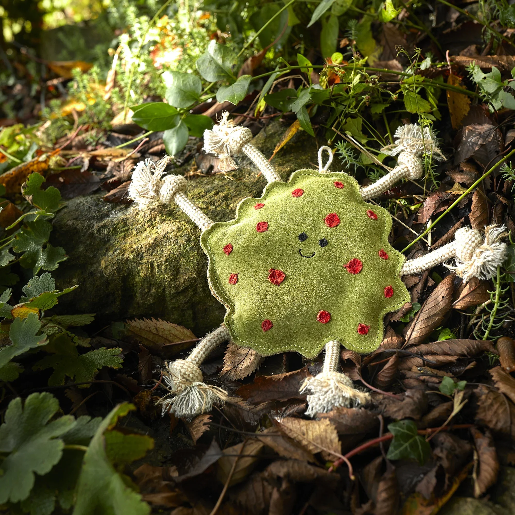 Splodge, Eco Dog Toy - Image 6